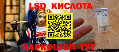 apvp Гагарин
