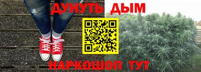 apvp Гагарин